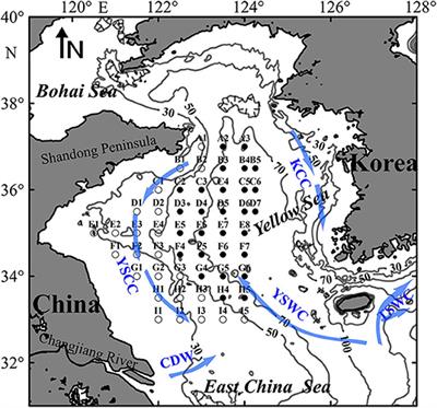 Seasonal Changes in Zooplankton Community Structure and Distribution Pattern in the Yellow Sea, China